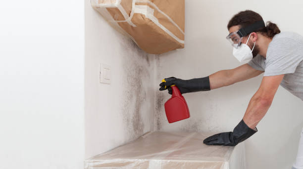 Professional Mold Cleanup technician working in Deer Park, NY